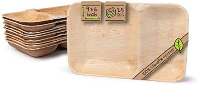 Areca Leaf Tableware I 50 Pieces Areca Plate (9 x 6) inch Rectangular Plate with 2 Compartment I Bio Disposable Biodegradable Party Tableware Disposable Tableware compostable