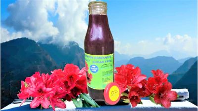 Sugarfree Rhododendron Concentrate from Almora (550 ml)